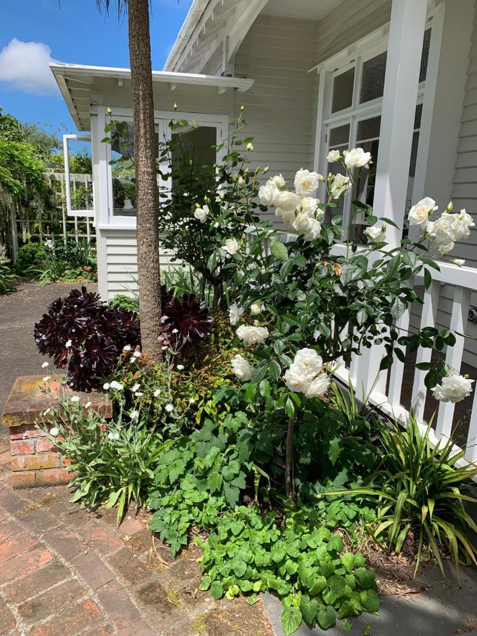 Browns Boutique Bed And Breakfast Whanganui Exterior foto